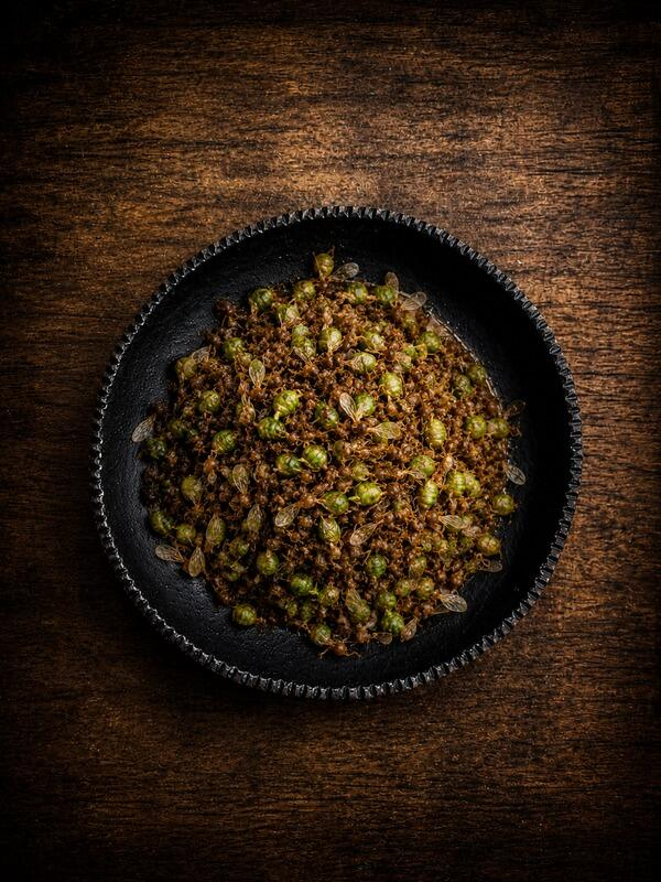 Native Australian pantry ingredients