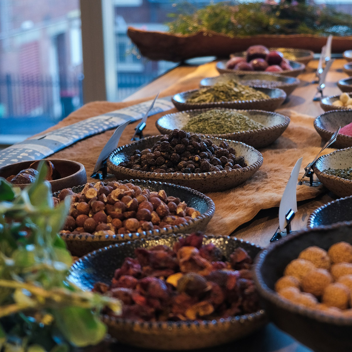 Bush tucker experiences. — native Australian catering by Gather Foods