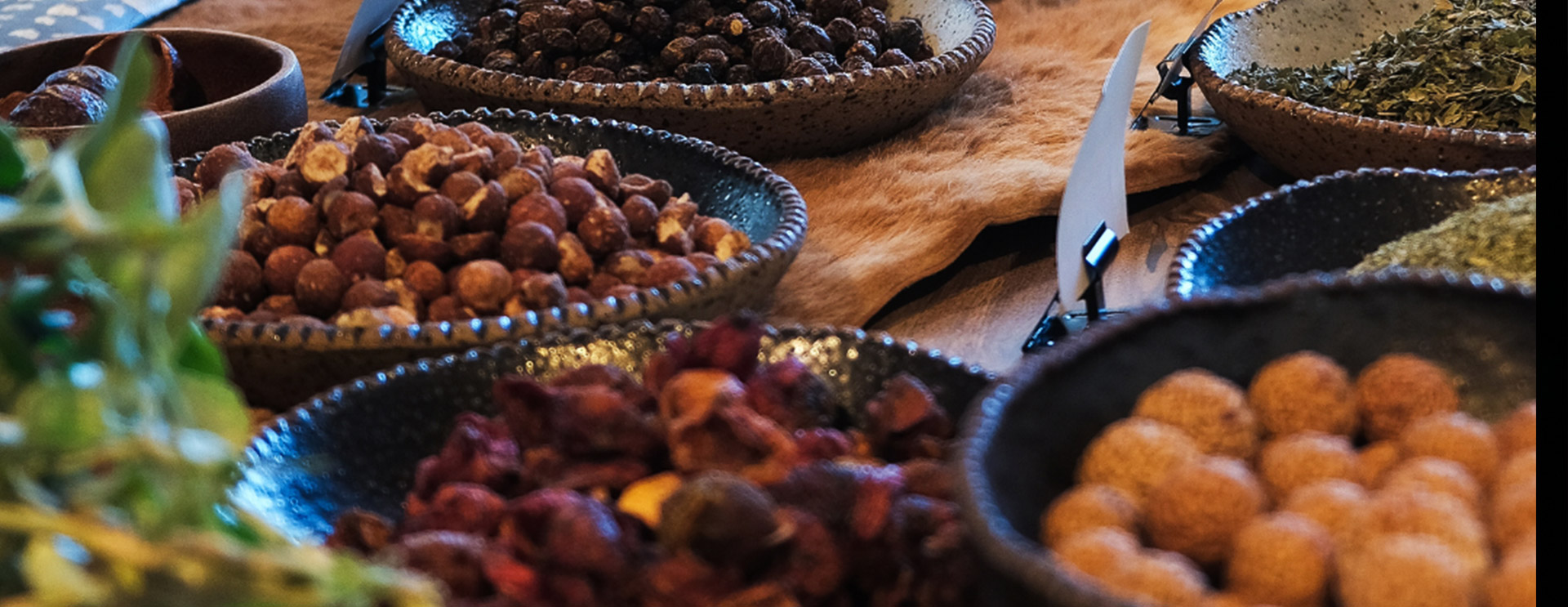 Native Australian bush tucker tasting experience